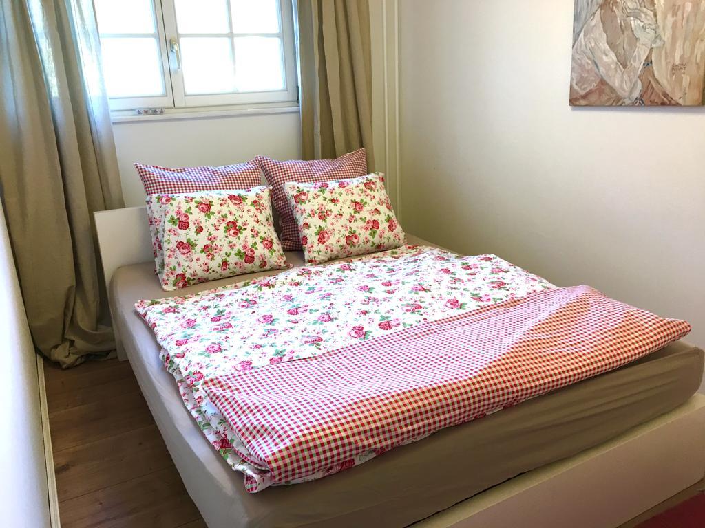 Apartment Almroeserl Edelweiss غوساو المظهر الخارجي الصورة
